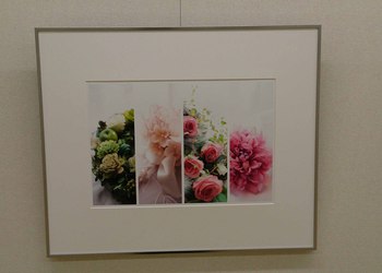 「NHKカルチャー写真展」開催