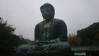高徳院  いきなり鎌倉大仏！