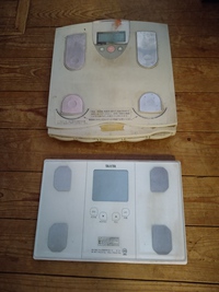 よし！  #体脂肪 も標準値に入った。