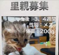 良い家族に巡り会えますように。