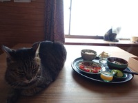 他人事ではないはな