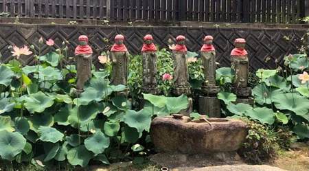 宇多津圓通寺素心庵 2回目の道具整理 宇多津圓通寺素心庵 2回目の道具整理