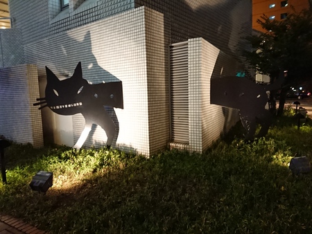 梅田で黒猫に会う