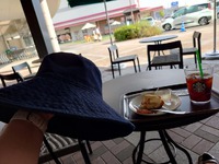 昨日5/20は 真夏日だったのか…