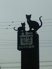 ねこの歯医者さん〜アロバーさん