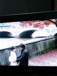 金沢 西茶屋街じゃん！