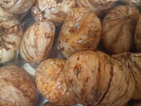 栗の渋皮煮