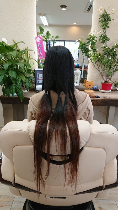 ヘアドネーション