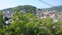 千光寺