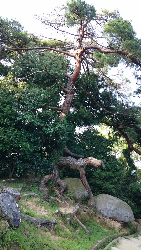 千光寺