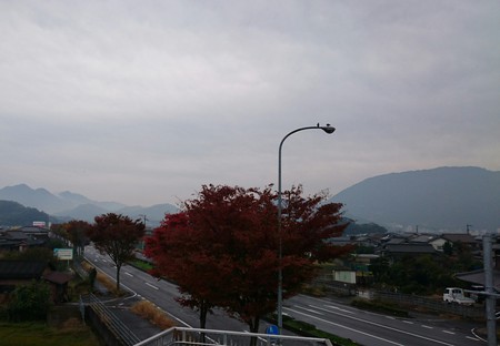 秋