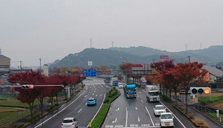 秋