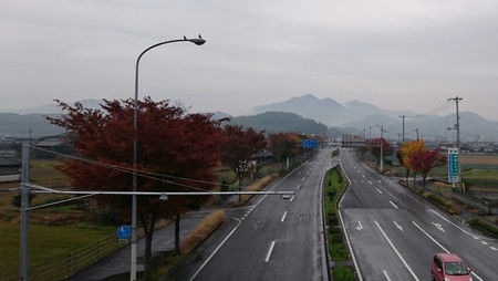 秋
