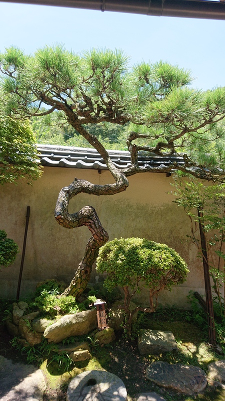 吉田邸