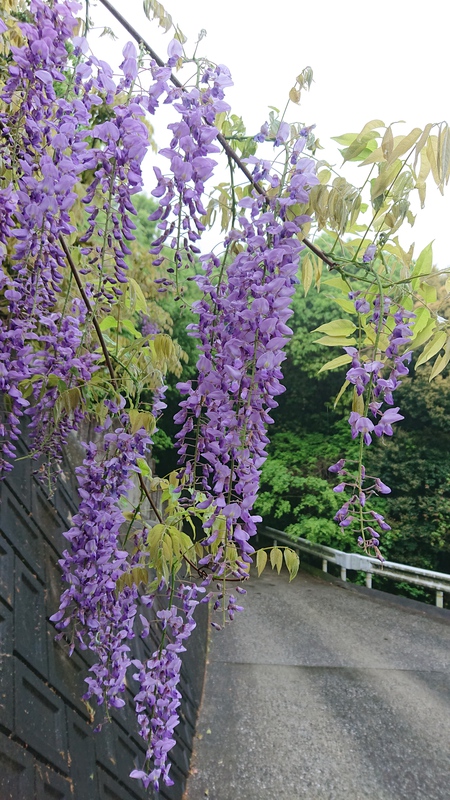 藤尾八幡神社