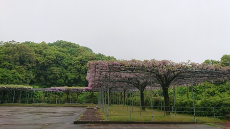 藤尾八幡神社
