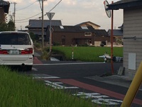 今年3回目の「交通事故」です。