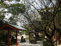 一宮さん