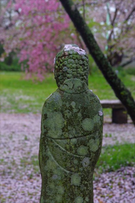 コロニャン