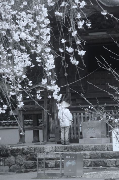 高知県南国市国分寺