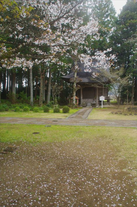 高知県南国市国分寺