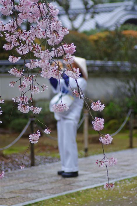 ゴロゴロ