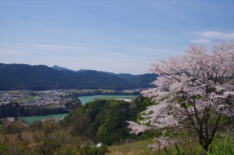 高知県南国市国分寺