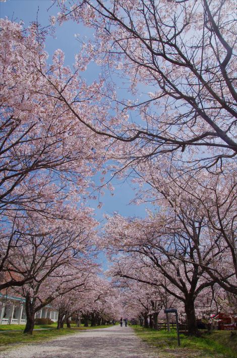 高知県南国市国分寺