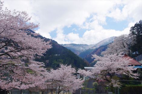 花見の駅