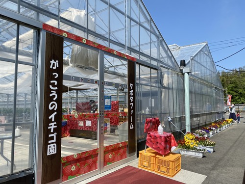 がっこうのイチゴ園