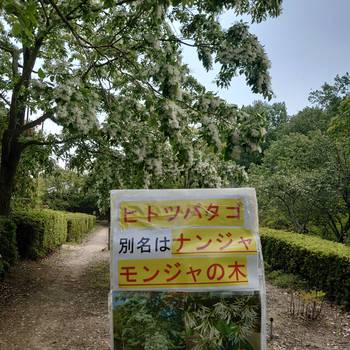 自転車の初乗り　　公渕公園にて
