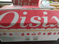 Ｏisixをやってみた