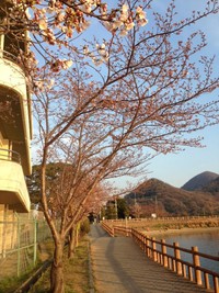 朗読会に来ていただき、ありがとうございました