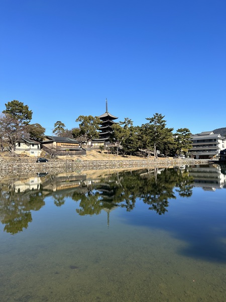 和歌山、奈良の旅