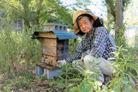 野生の日本蜜蜂の2年にわたる営み ＜2年熟成蜂蜜＞の話