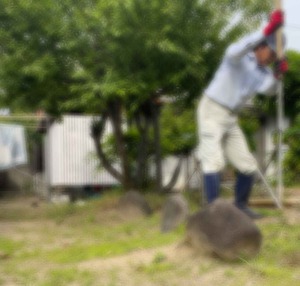 一畝　新設邸内の庭に