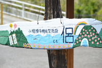 侶のお花見