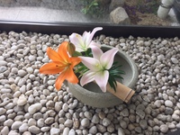 外へ外へ