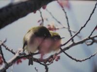 うれしい出来事・・