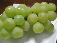 皮ごと食べられるフルーツ♪瀬戸ジャイアンツ