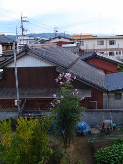 ほんまに高い(^^ゞ