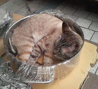お気に入り！(*^^)v