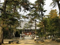 讃岐国 国分寺