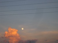 月は東に日は西に