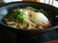 温玉ぶっかけ「〇福うどん」