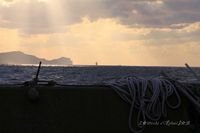神威岬　神威岩を遠くから