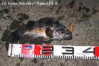 再び魔境で ROCK FISH　GAMEⅡ-2