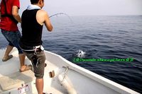 夏の四国の思い出24