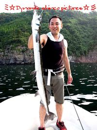 夏の四国の思い出26
