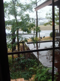雨の中・・・ｋｕ：neｌランチ・・・♪